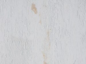 5 sposobów jak usunąć tłuste plamy na ścianie? 14