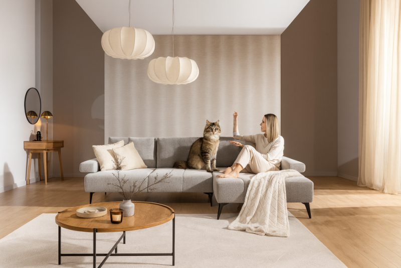 Jak bezstresowo przeprowadzić kota z domu do mieszkania