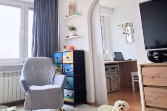 komfortowe mieszkanie z psem